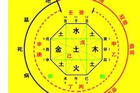 喜用神水的人特色|八字入门基础 第六篇 如何判断八字喜用神